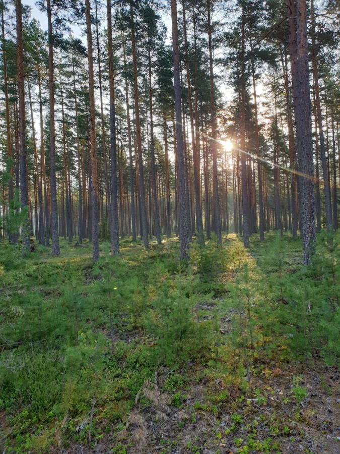 Stuga ROS Naturcamping Lagom Gräsmark Exterior foto