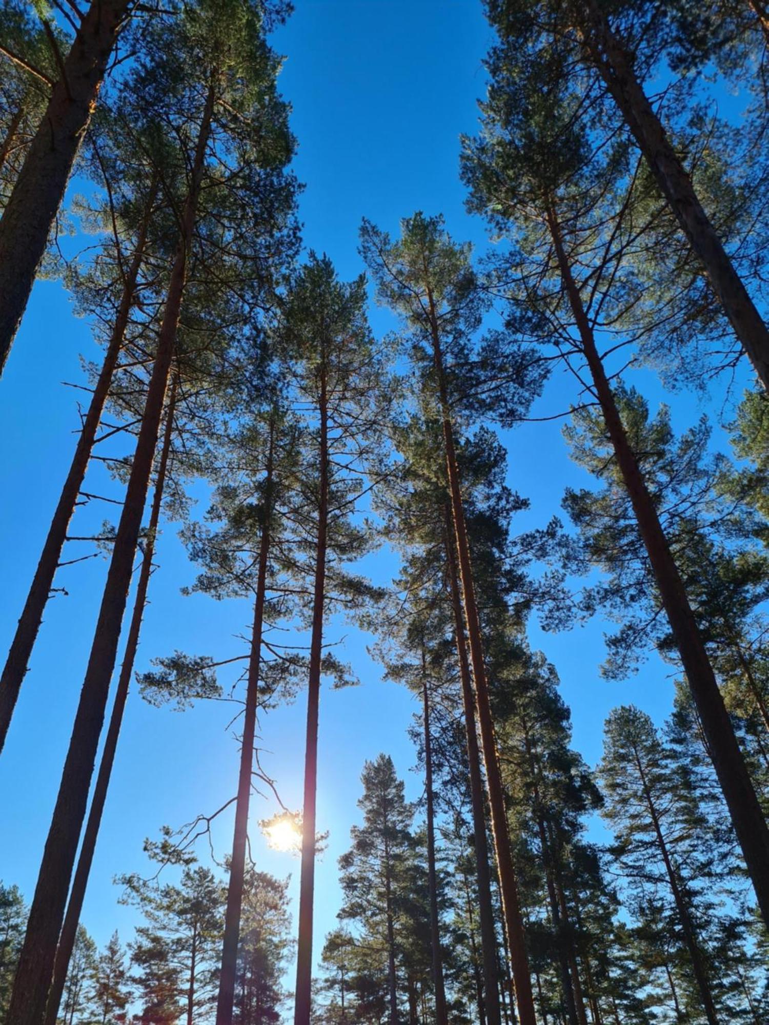 Stuga ROS Naturcamping Lagom Gräsmark Exterior foto